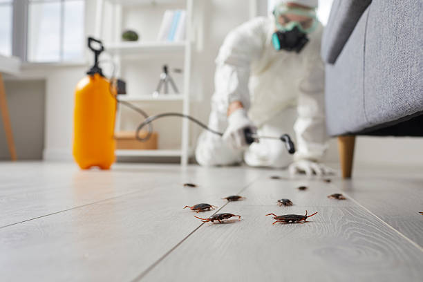 Commercial Kitchen Cockroach Control in Ames Lake
